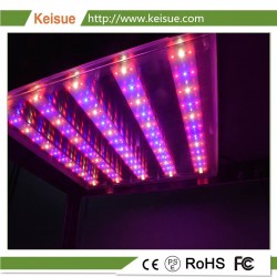 LED Grow osvětlení KES-GL-001